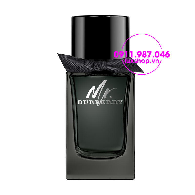 Nước hoa nam Mr Burberry edp for men 100ml - luxshop.vn
